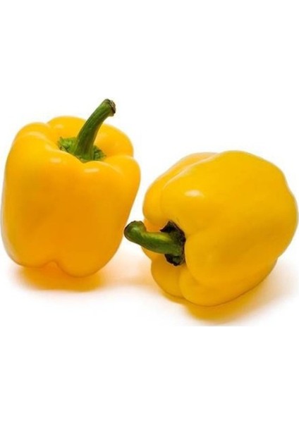100 Adet Tohum Nadir Organik Hobi Bahçe Sarı Dolmalık Tatlı Biber Tohumu Saksı Toprak Hediye fiyatları