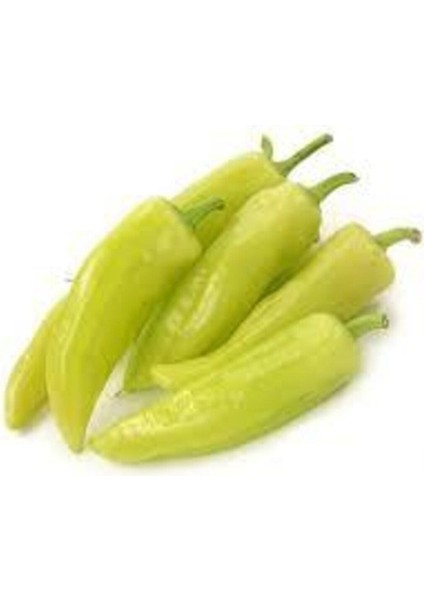 80 Adet Tohum Turşuluk Sarı Yemelik Süs Biberi Tohumu Ata Tohum Sürpriz Hediye Tohum