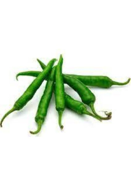 20 Adet Tohum Süs Biberi Tohumu Yeşil Cin Biber Tohumu Sürpriz Hediye Tohumlu modelleri