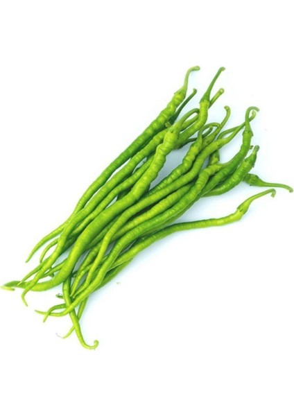 30 Adet Tohum Acı Organik Köy Sivri Kıl Biber Tohumu Kıl Biberi Tohumu Saksı Toprak Hediyemizdir