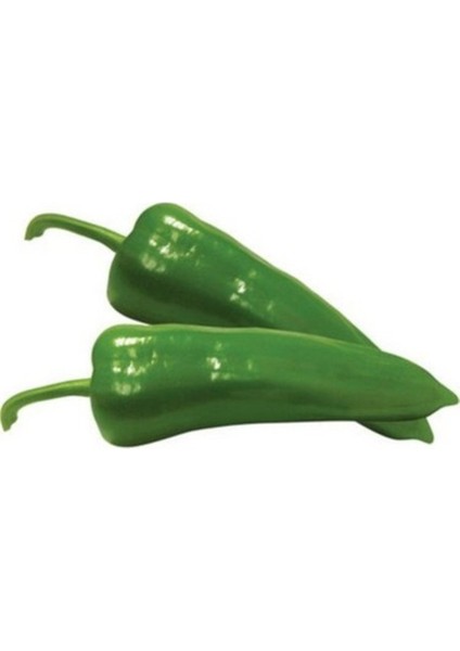 200 Adet Tohum Hobi Balkon Taze Yeşil Yağlık Biber Tohumu Hediye Tohum