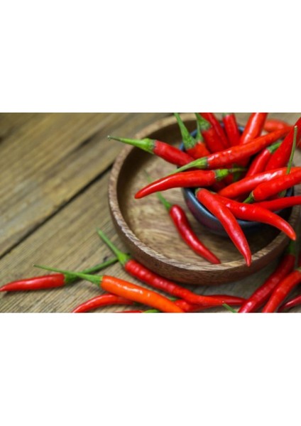 Arnavut Biber Tohumu Cayanne Biberi Tohumu 20 Adet Tohum fiyatları