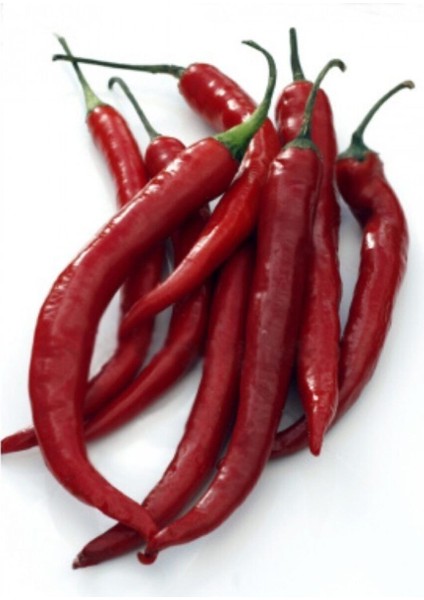 Arnavut Biber Tohumu Cayanne Biberi Tohumu 20 Adet Tohum fırsatları