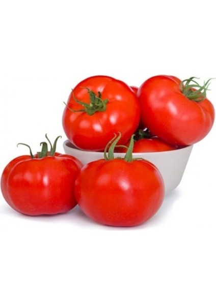 Erkenci İri Domates Tohumu Erkenci Domates Tohumu 15 Adet Tohum fiyatları