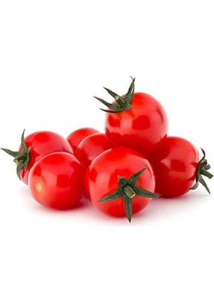 Cherry Domates Tohumu Saksılık Cherry Doates Tohumu 10 Adet Tohum modelleri