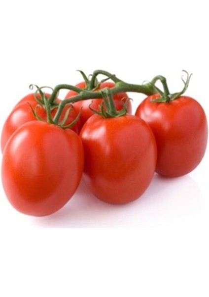 Cherry Domates Tohumu Saksılık Cherry Doates Tohumu 10 Adet Tohum fırsatları