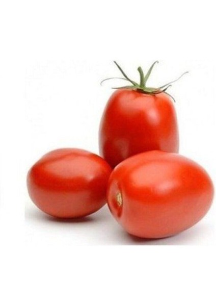İtalyan Rio Grande Domates Tohumu Bursa Domates Tohumu 25 Adet Tohum