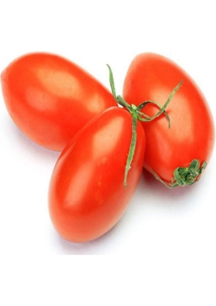 İtalyan Rio Grande Domates Tohumu Bursa Domates Tohumu 25 Adet Tohum fiyatları