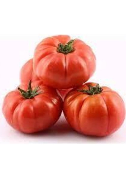 Köy Domates Tohumu 50 Adet