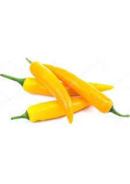 Golden Acı Cayenne Biber Tohumu Golden Biber Tohumu 20 Adet Tohum