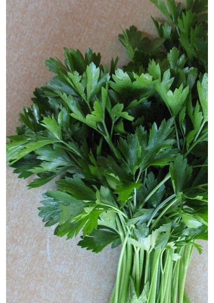 500 Adet Tohum Maydanoz Tohumu Geniş Yapraklı Maydonoz Organik Köy Tohumu Saksı Toprak