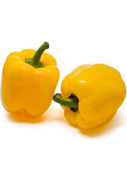 Sarı Tatlı Dolmalık Biber Tohumu 15 Adet Tohum