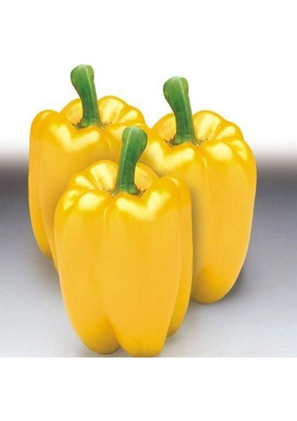Sarı Tatlı Dolmalık Biber Tohumu 15 Adet Tohum fırsatları