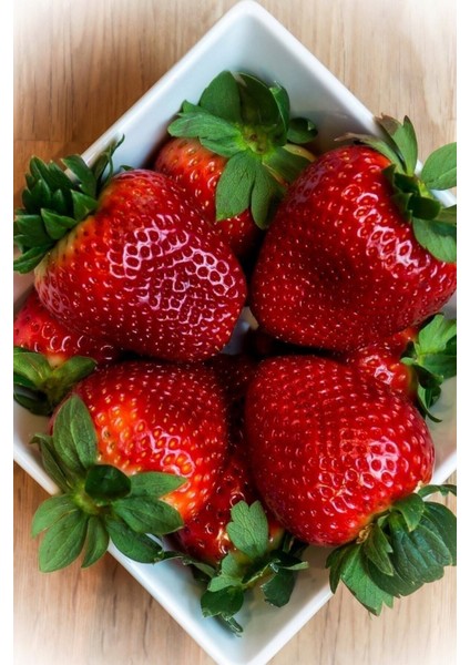 100 Adet Tohum Yeni Hasat Taze Çilek Tohumu Organik Köy Çileği Tohumu Saksı Toprak Hediyemiz