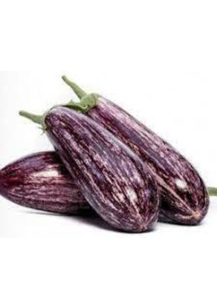 25 Adet Manisa Kır Patlıcan Tohumu Kır Patlıcan Tohumu Sürpriz Ata Tohum Hediye Tohum