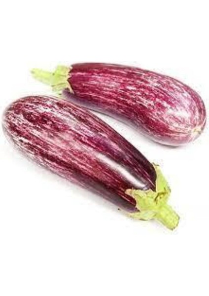 25 Adet Manisa Kır Patlıcan Tohumu Kır Patlıcan Tohumu Sürpriz Ata Tohum Hediye Tohum fiyatları