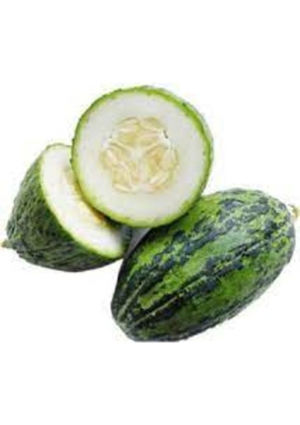 20 Adet Tohum Organik Bahçe Konya Turşuluk Kelek Tohumu Taze Hasat Tohum