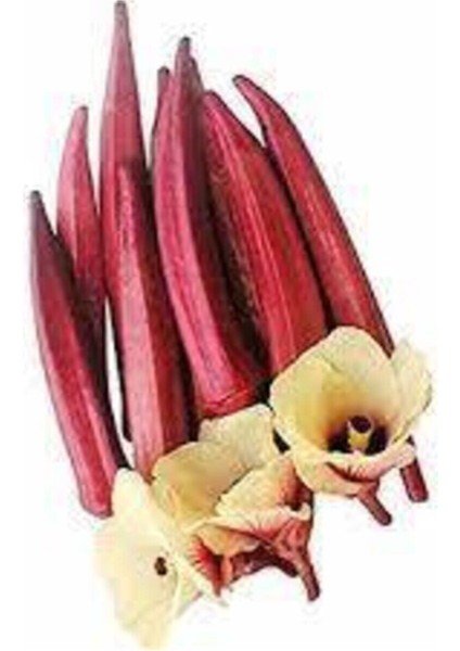 15 Adet Tohum Nadir Kınalı Bamya Tohumu Bamya Tohumu Sürpriz Hediye Tohum