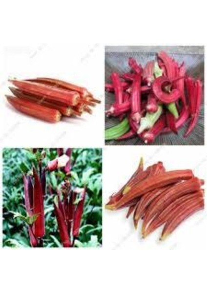 15 Adet Tohum Nadir Kınalı Bamya Tohumu Bamya Tohumu Sürpriz Hediye Tohum fiyatları