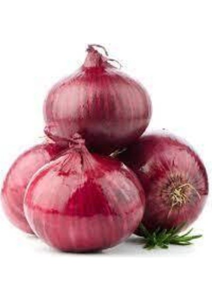 100 Adet Tohum Yeni Hasat Mor Kışlık Soğan Tohumu Organik Taze Tohumlar Hediye Tohum