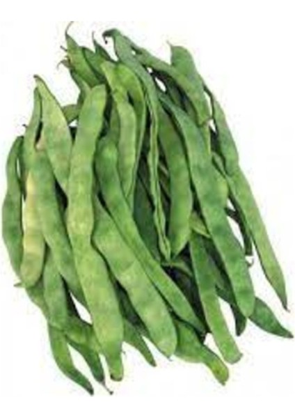 250 Adet Tohum Niğde Çiftehan Fasulyesi Fasulye Tohumu Organik Hasat
