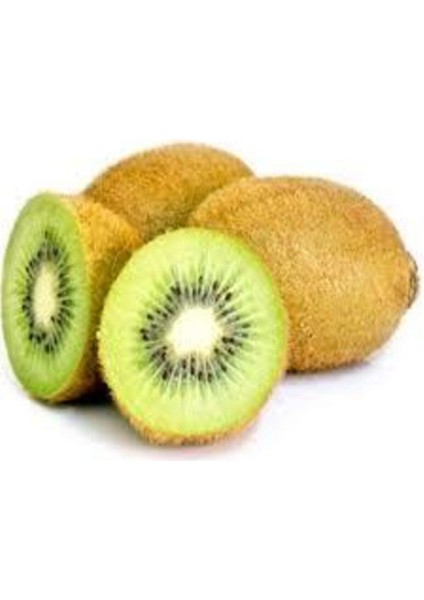 10 Adet Tohum Kivi Ağacı Tohumu Yeşil Tatlı Kivi Tohumu Sürpriz Hediye Bonsai Ağacı Tohumludur fiyatları