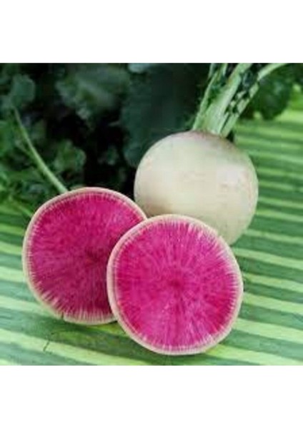 50 Adet Tohum Süper Paket Şalgam Turpu Tohumu Turp Tohumu Sürpriz Hediye Tohumludur fiyatları