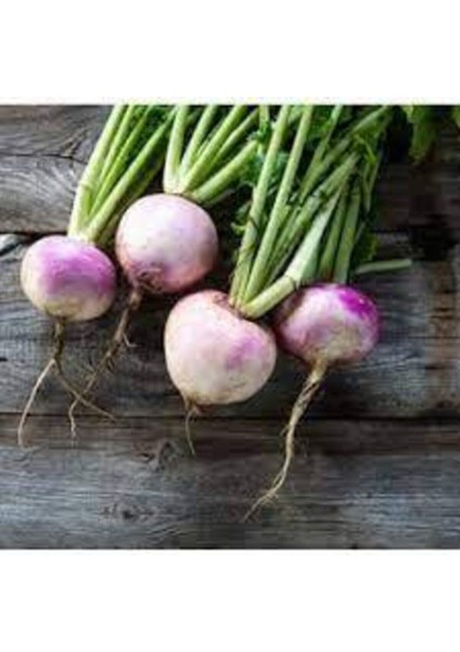 50 Adet Tohum Süper Paket Şalgam Turpu Tohumu Turp Tohumu Sürpriz Hediye Tohumludur modelleri