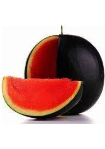 100 Adet Tohum Nadir Siyah Halep Karpuz Tohumu Organik Köy Karpuzu Tohumu Hediye Tohum