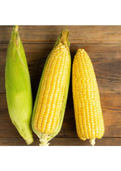 300 Adet Tohum Yeni Sezon Közlemelik Haşlamalık Süt Mısır Tohumu Darı Tohumu Sürpriz Hediye Tohum fiyatları