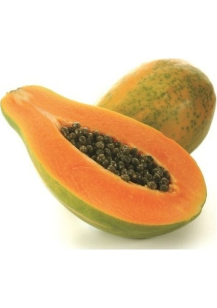 10 Adet Tohum Nadir Tropikal Papaya Meyve Ağacı Ağaç Tohumu Papaya Tohumu Saksı Toprak Hediyeli