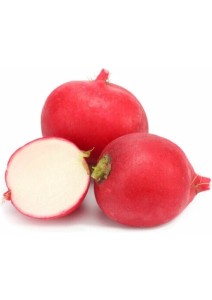 200 Adet Tohum Orjinal Adana Kadirli Iri Kırmızı Peynir Turp Tohumu Organik Köy Tohumu Hediye Tohum