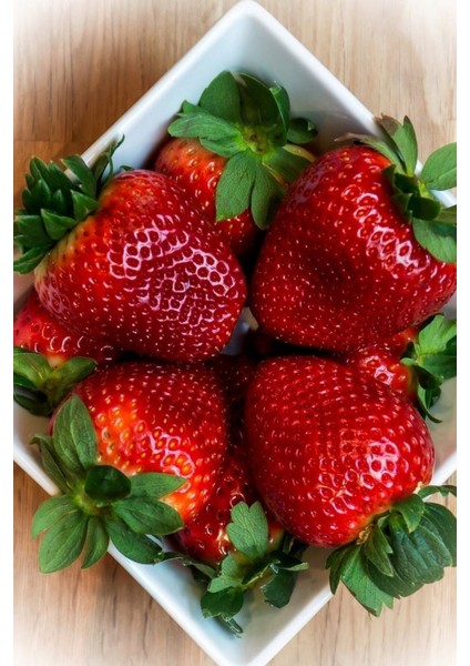 100 Adet Tohum Organik Bahçe Dev Çilek Tohumu Orjinal Iri Çilek Tohumu Taze Saksı Toprak Hediyeli