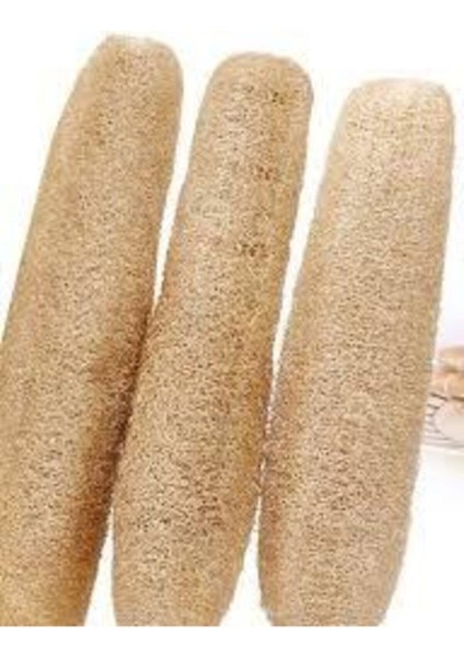 30 Adet Tohum Eko Paket Lif Kabak Tohumu Kabak Tohumu Lif Kabağı Tohumu Sürpriz Hediye Tohum fiyatları