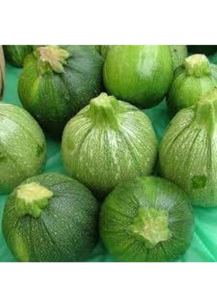 50 Adet Tohum Dolmalık Nadir Topak Kabak Tohumu Kabak Tohumu Topak Kabak Tohumu Sürpriz Hediye Tohum