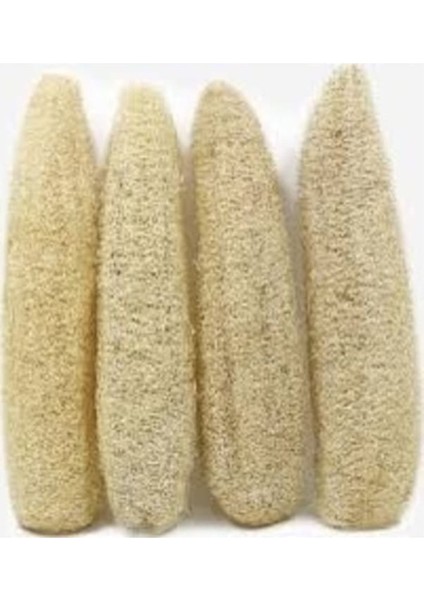 150 Adet Tohum Nadir Hatay Lif Kabağı Tohumu Organik Sünger Kabağı Tohumu Hediye Tohumlu fiyatları