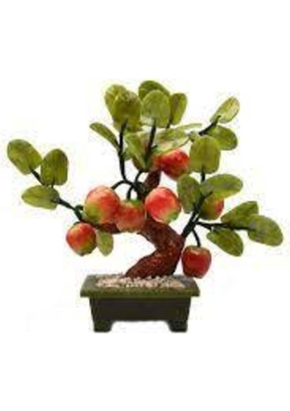 10 Adet Tohum Bodur Bonsai Elma Ağacı Bonzai Tohumu Sürpriz Bonsai Ağaç Tohum modelleri