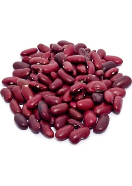 100 Adet Tohum Kırmızı Oturak Fasulye Tohumu Organik Hasat Hediye Tohumlu modelleri