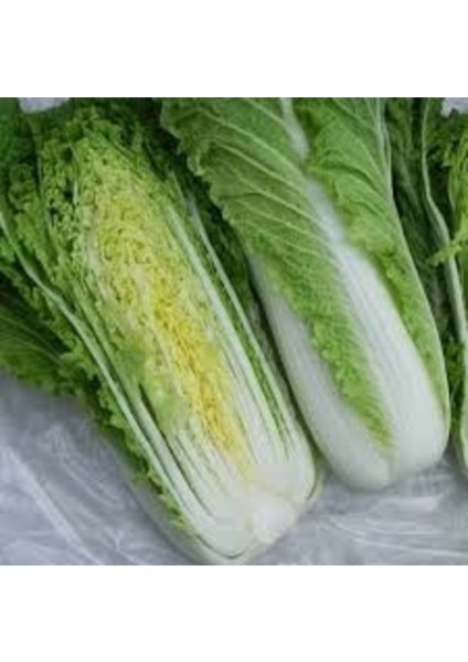 100 Adet Tohum Organik Uzak Doğu Çin Lahana Tohumu Kaliteli Hasat Taze Tohumlar Hediye Tohum fiyatları