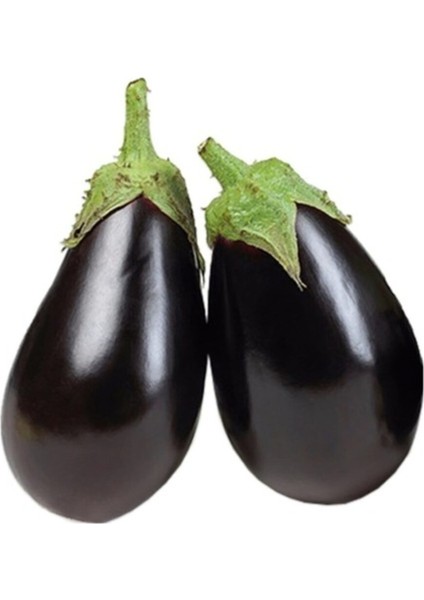 100 Adet Tohum Organik Hobi Balkon Dolmalık Patlıcan Tohum Kaliteli Taze Tohum Hediye Tohum