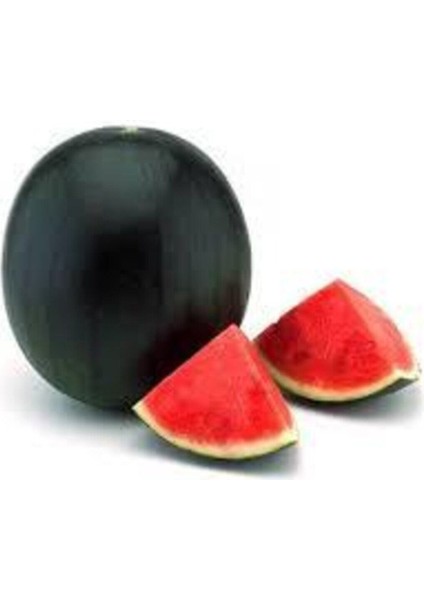 15 Adet Tohum Meşhur Halep Karpuzu Tohumu Halep Karası Karpuz Tohumu Sürpriz Hediye Tohumlu