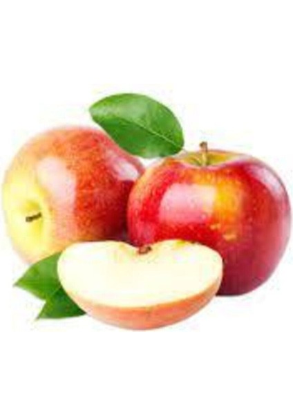 5 Adet Tohum Amasya Elma Tohumu Sert Sulu Elma Tatlı Yayla Elması Tohumu Saksı Toprak Hediye