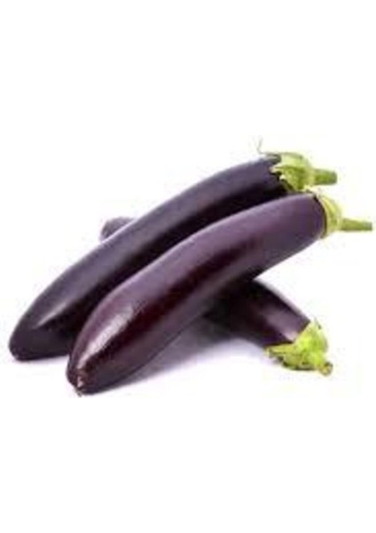 50 Adet Tohum Siyah Kemer Patlıcanı Tohum Patlıcan Tohum Sürpriz Hediye Sebze Tohum Uzun Patlıcan fiyatları