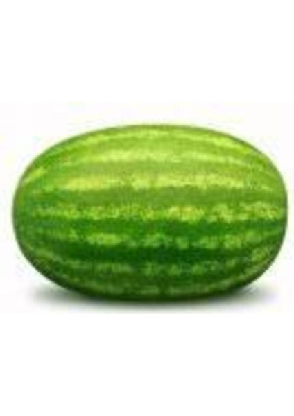 50 Adet Tohum Meşhur Diyarbakır Karpuzu Tohumu Karpuz Tohumu Süpriz Hediye Tohum