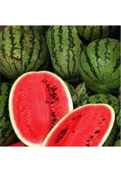 50 Adet Tohum Meşhur Diyarbakır Karpuzu Tohumu Karpuz Tohumu Süpriz Hediye Tohum fiyatları