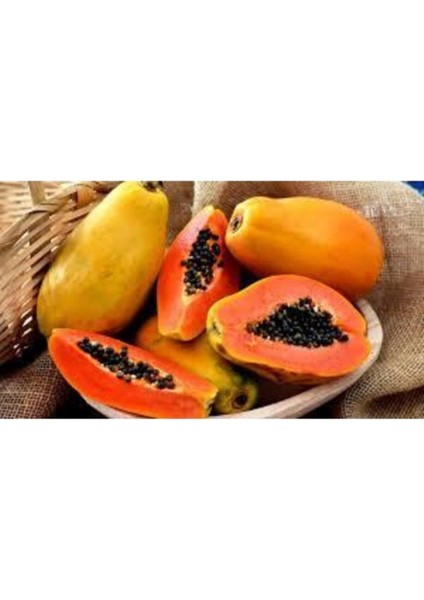 20 Adet Tohum Tropikal Papaya Ağaç Tohumu Organik Hasat Meyve Ağacı Papaya Tohumu Hediye Tohumlu