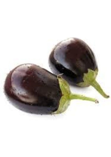 200 Adet Tohum Nadir Antep Dolmalık Kurutmalık Mor Patlıcan Tohumu Taze Yeni Hasat Tohum