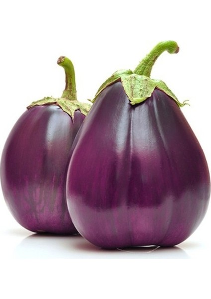 15 Adet Tohum Nadir Floransa Tombul Patlıcan Tohumu İri Organik Patlıcan Tohum Hediye Tohumlu