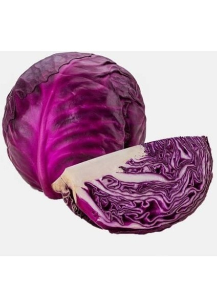 50 Adet Tohum Nadir Hobi Bahçe Kara Lahana Tohumu Taze Organik Köy Tohumu