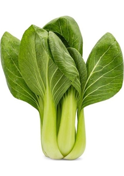 50 Adet Tohum Nadir Bulunan İthal Bebek Çin Lahanası Tohumu Sürpriz Hediye Tohumlu